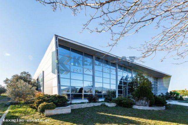 ΟΠΙΣΘΙΑ ΕΞΩΤΕΡΙΚΗ ΟΨΗ