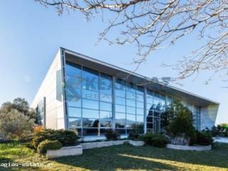 ΟΠΙΣΘΙΑ ΕΞΩΤΕΡΙΚΗ ΟΨΗ