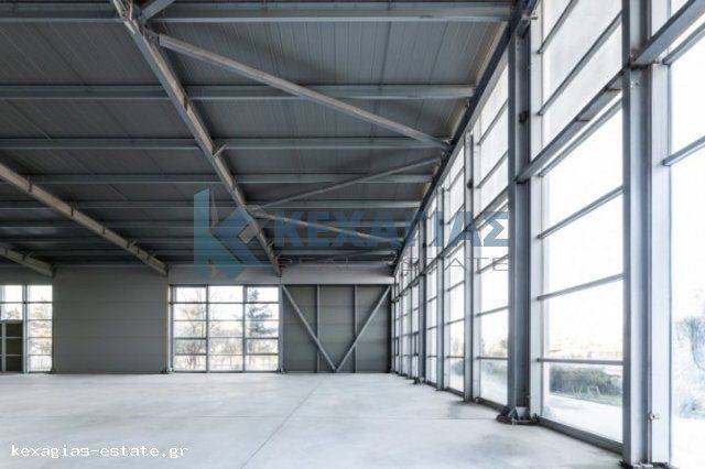 ΕΣΩΤΕΡΙΚΗ ΛΗΨΗ