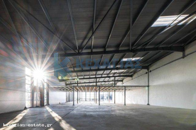 ΕΣΩΤΕΡΙΚΗ ΛΗΨΗ