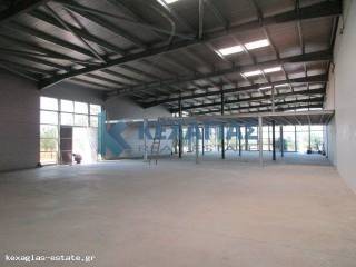 ΕΣΩΤΕΡΙΚΗ ΛΗΨΗ