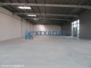 ΕΣΩΤΕΡΙΚΗ ΛΗΨΗ