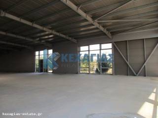 ΕΣΩΤΕΡΙΚΗ ΛΗΨΗ