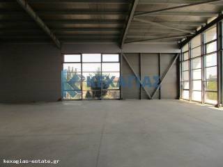 ΕΣΩΤΕΡΙΚΗ ΛΗΨΗ