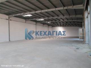 ΕΣΩΤΕΡΙΚΗ ΛΗΨΗ