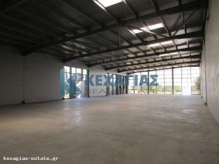 ΕΣΩΤΕΡΙΚΗ ΛΗΨΗ