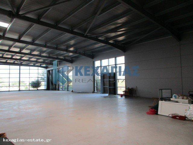 ΕΣΩΤΕΡΙΚΗ ΛΗΨΗ