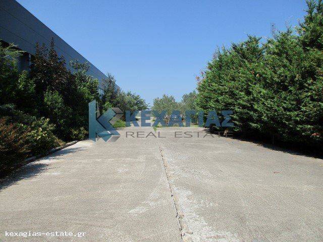 ΠΛΑΙΝΟΣ ΠΡΟΑΥΛΙΟΣ ΧΩΡΟΣ