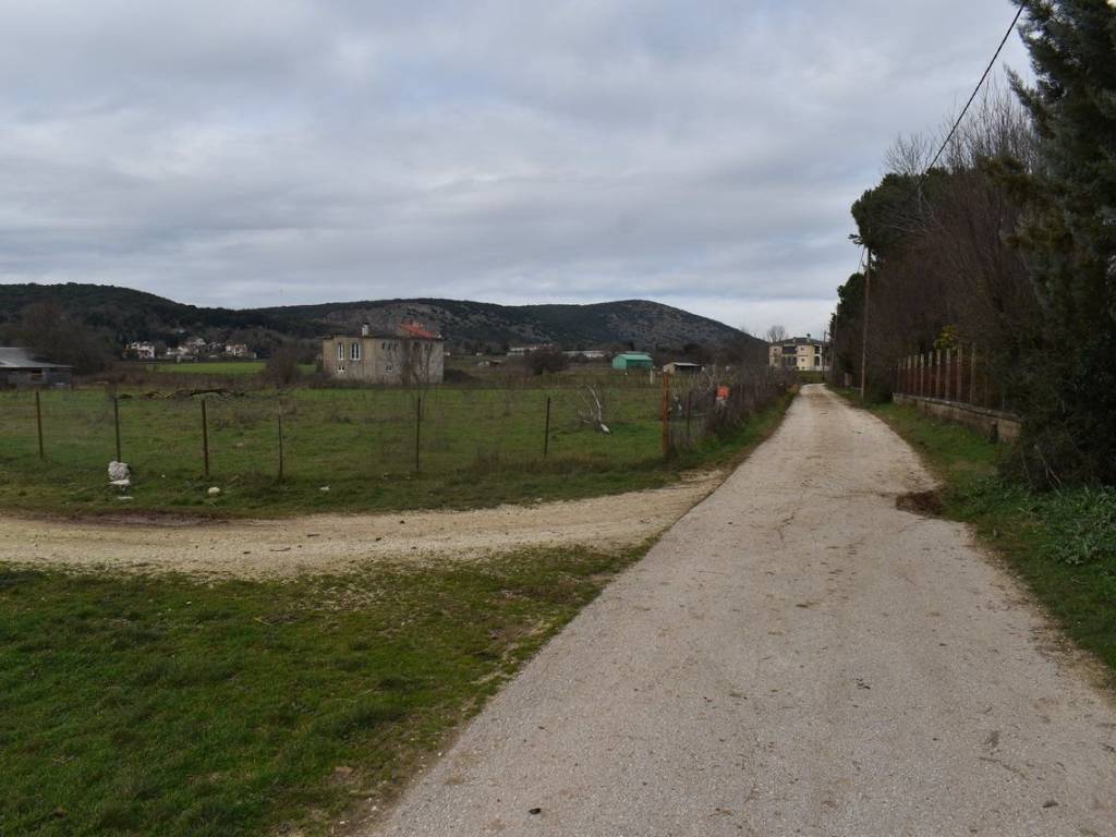 ΑΠΟΨΗ ΑΓΡΟΤΕΜΑΧΙΟΥ