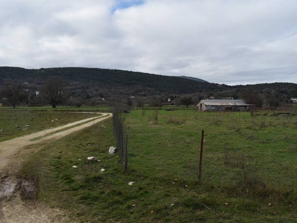 ΑΠΟΨΗ ΑΓΡΟΤΕΜΑΧΙΟΥ