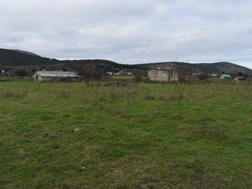 ΑΠΟΨΗ ΑΓΡΟΤΕΜΑΧΙΟΥ