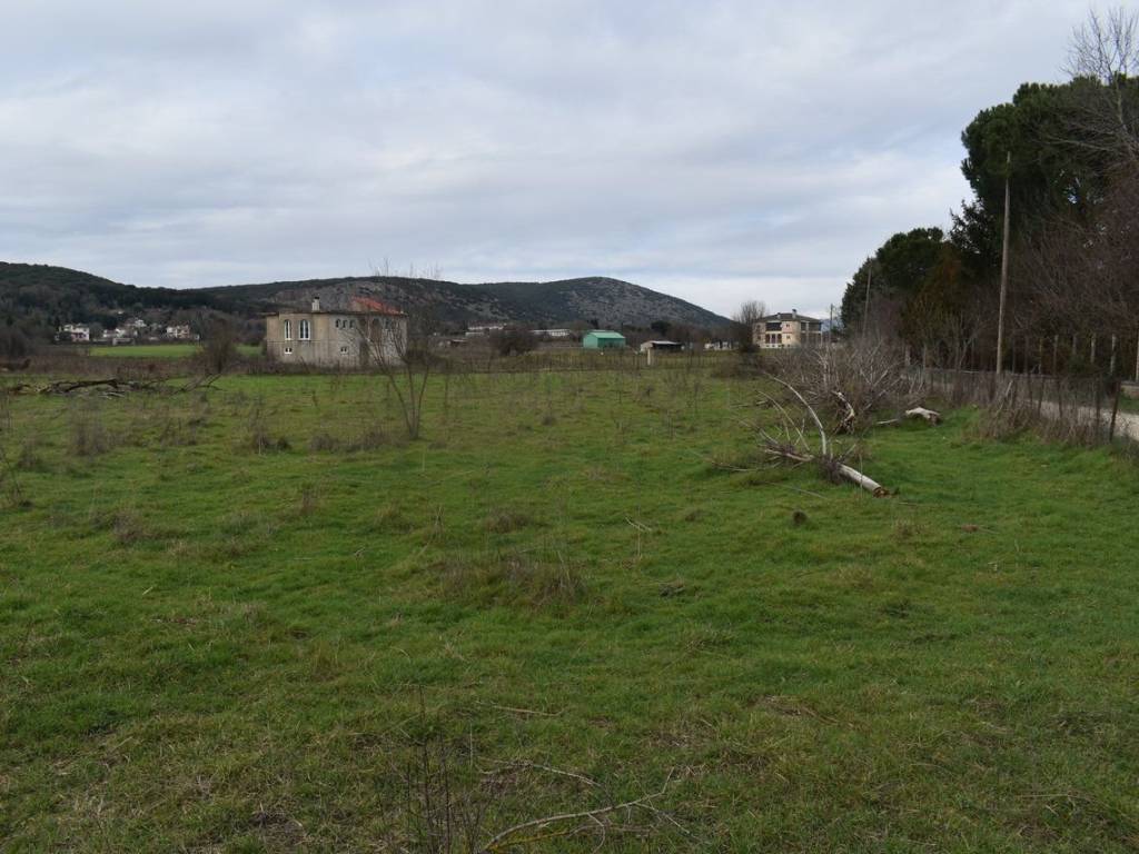 ΑΠΟΨΗ ΑΓΡΟΤΕΜΑΧΙΟΥ