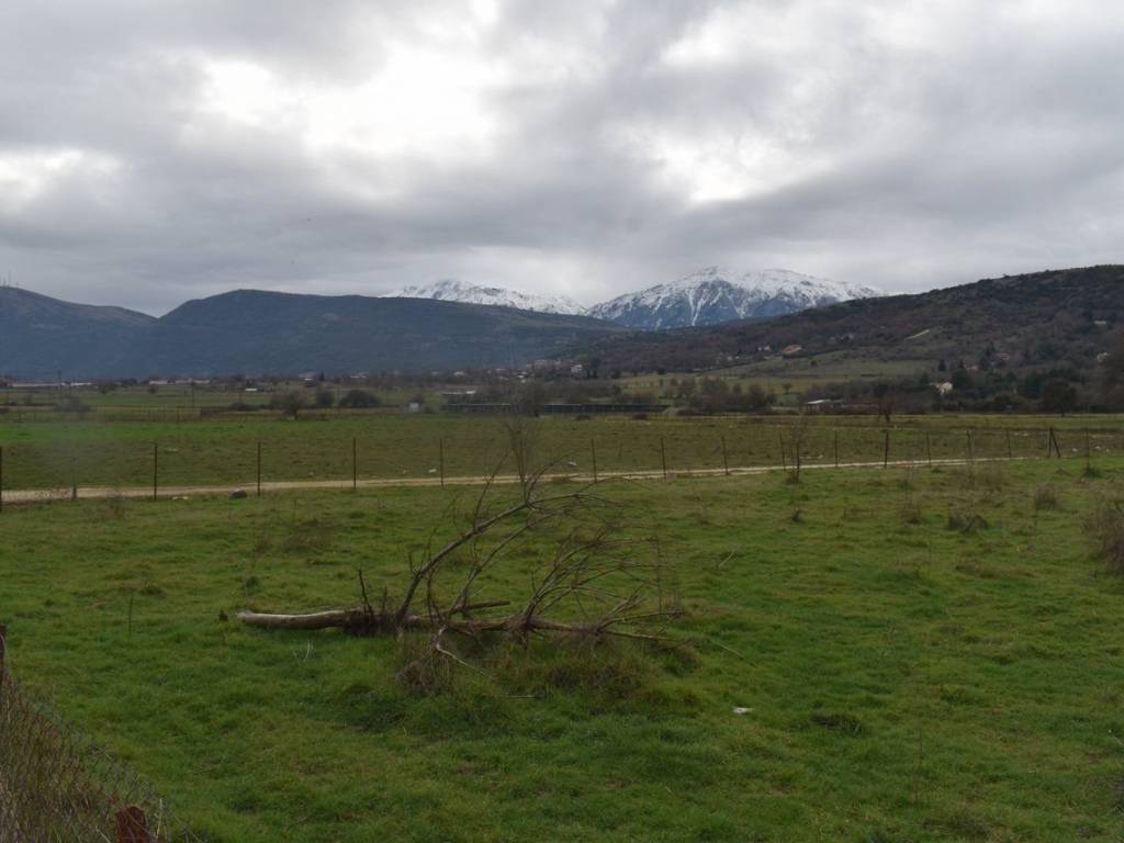 ΑΠΟΨΗ ΑΓΡΟΤΕΜΑΧΙΟΥ