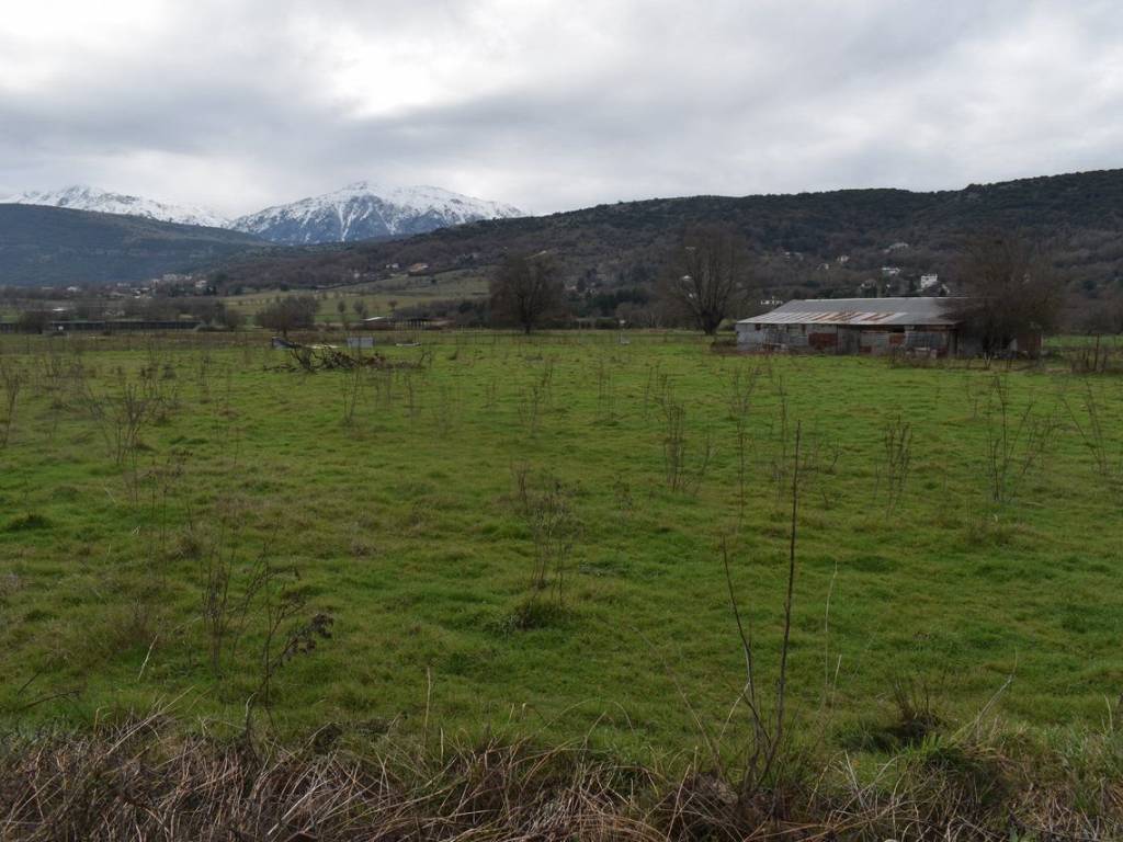 ΑΠΟΨΗ ΑΓΡΟΤΕΜΑΧΙΟΥ