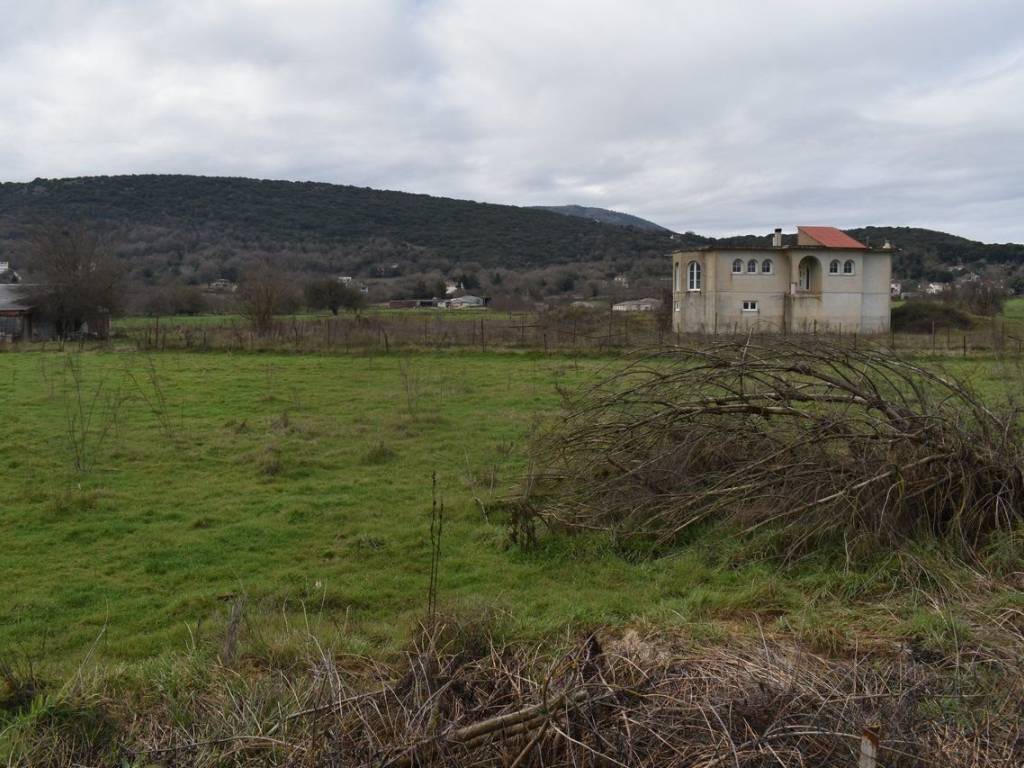 ΑΠΟΨΗ ΑΓΡΟΤΕΜΑΧΙΟΥ