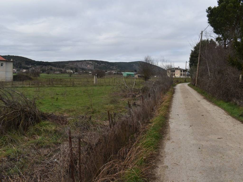 ΑΠΟΨΗ ΑΓΡΟΤΕΜΑΧΙΟΥ