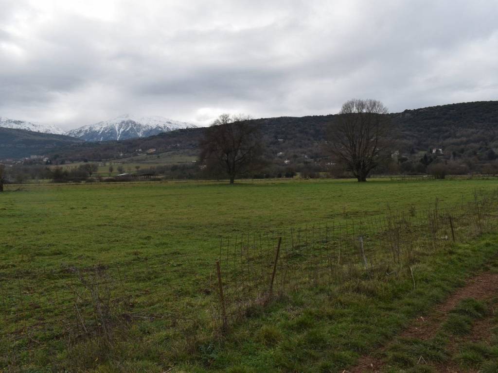 ΑΠΟΨΗ ΑΓΡΟΤΕΜΑΧΙΟΥ