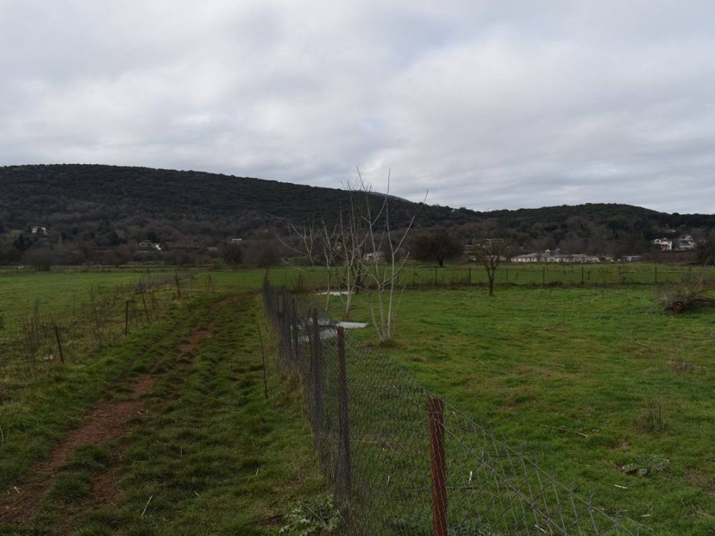 ΑΠΟΨΗ ΑΓΡΟΤΕΜΑΧΙΟΥ