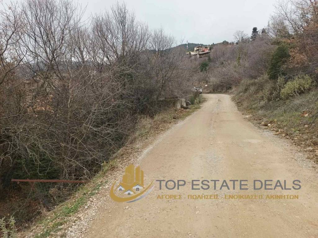 Ολόγυρα ξενώνες