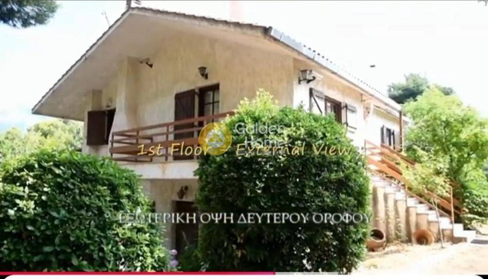 Ανελκυστήρας