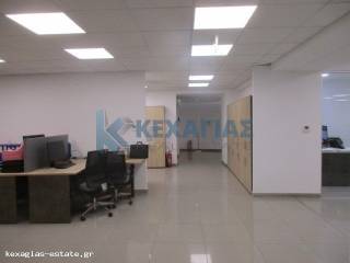 ΕΣΩΤΕΡΙΚΗ ΛΗΨΗ