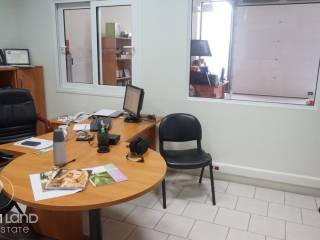 Forumland Real Estate, επαγγελματικός χώρος