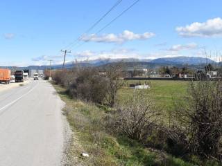 ΑΠΟΨΗ ΑΓΡΟΤΕΜΑΧΙΟΥ