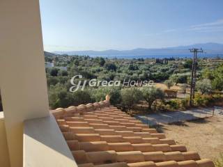 Detached house with sea view for sale in Evia.