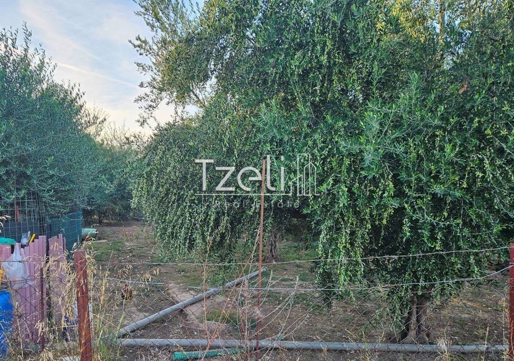 Άποψη οικοπέδου