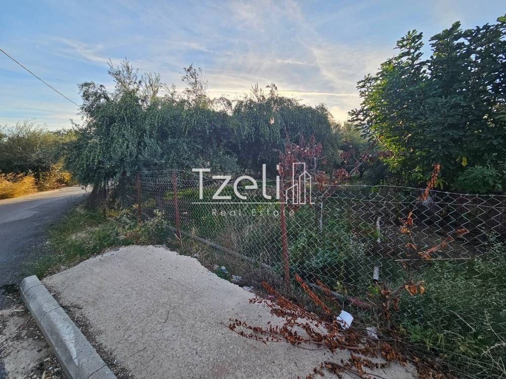 Άποψη οικοπέδου