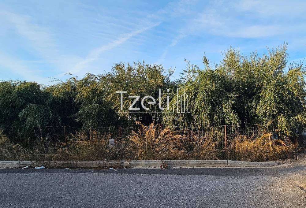 Άποψη οικοπέδου