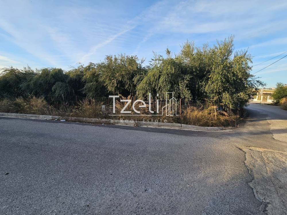 Άποψη οικοπέδου