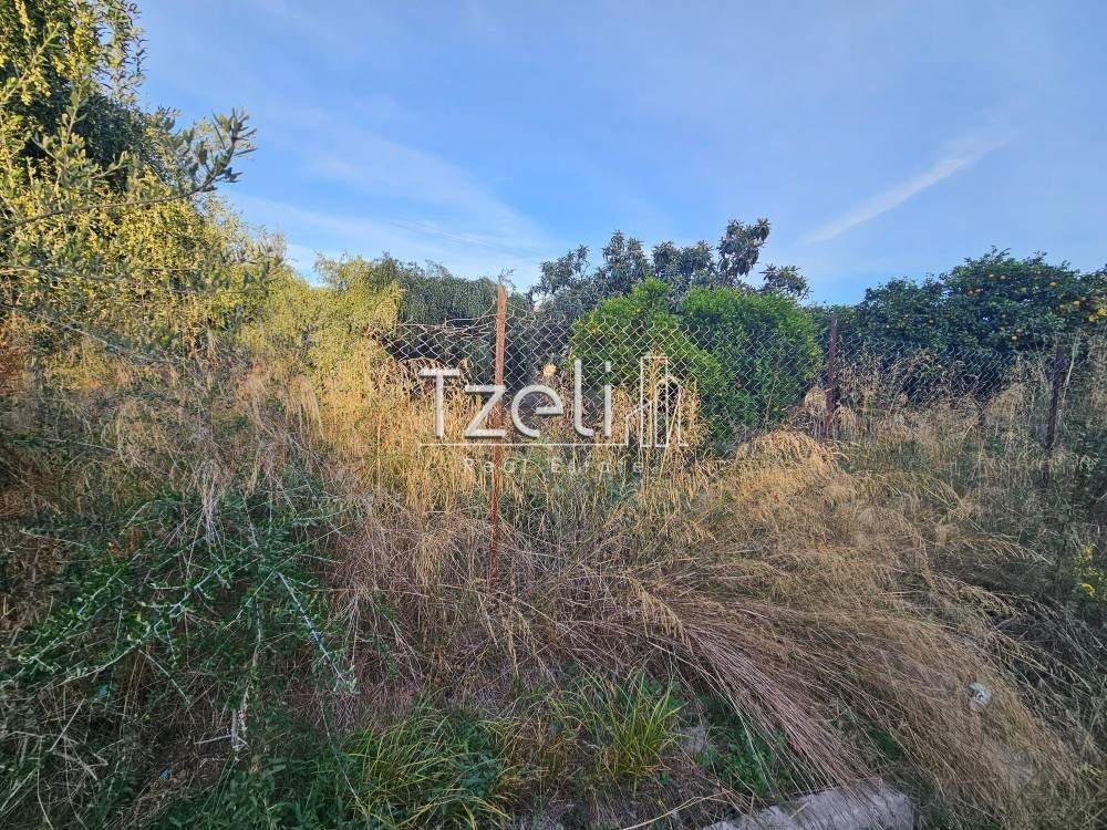 Άποψη οικοπέδου