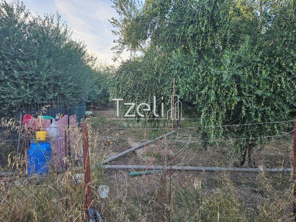 Άποψη οικοπέδου