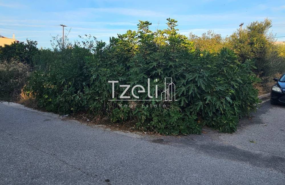 Άποψη οικοπέδου