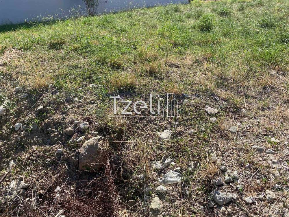 Άποψη οικοπέδου