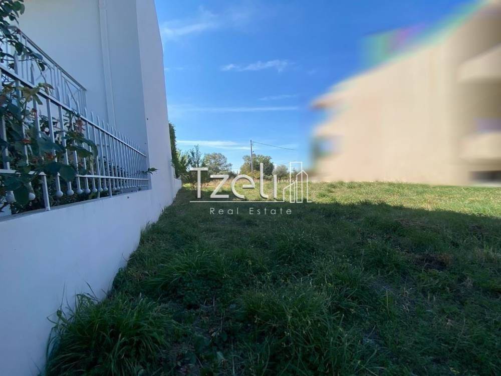 Άποψη οικοπέδου