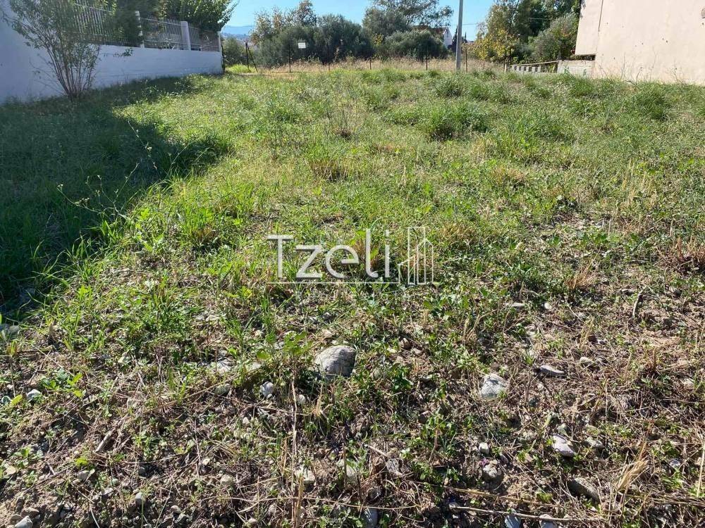 Άποψη οικοπέδου