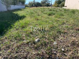 Άποψη οικοπέδου