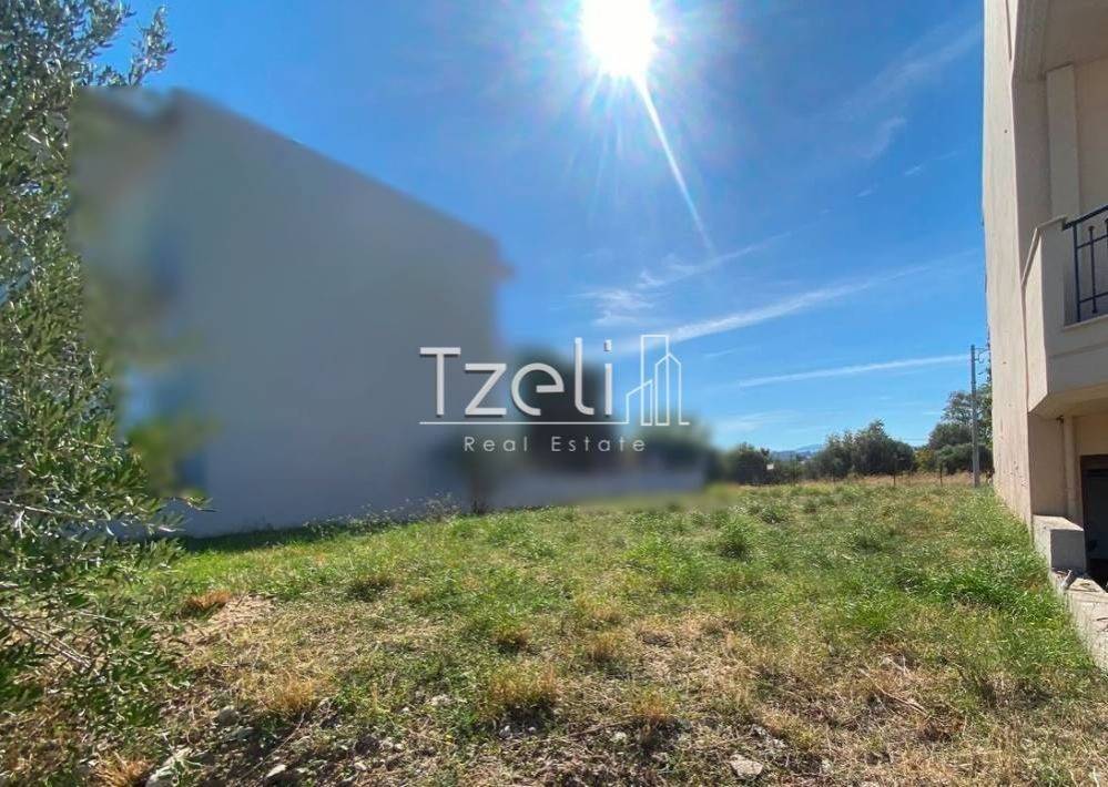 Άποψη οικοπέδου