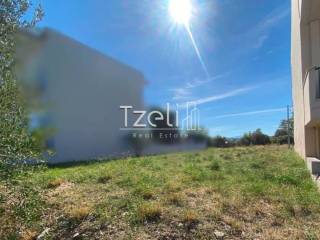 Άποψη οικοπέδου