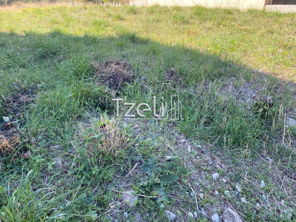 Άποψη οικοπέδου