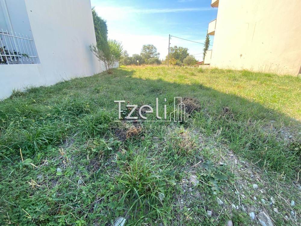 Άποψη οικοπέδου