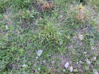 Άποψη οικοπέδου