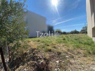 Άποψη οικοπέδου