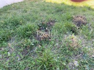 Άποψη οικοπέδου