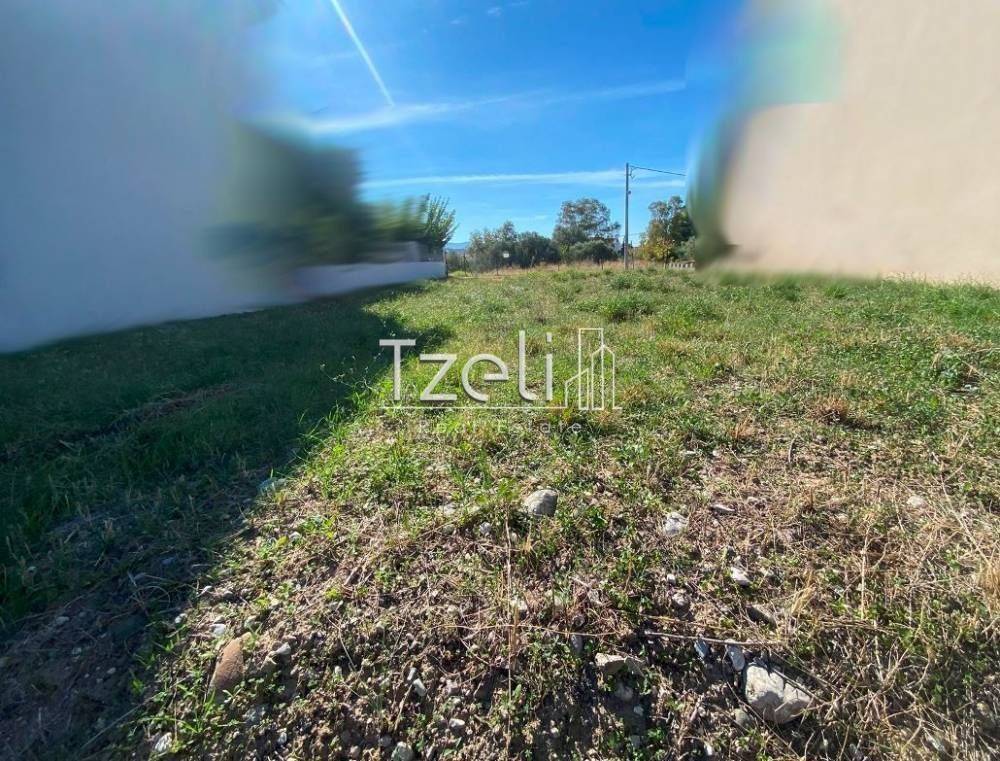 Άποψη οικοπέδου