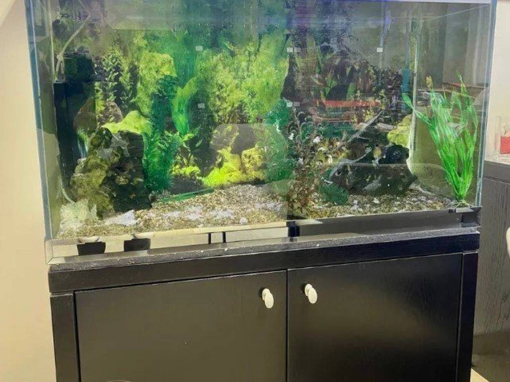 Forumland Real Estate, Γραφειακός χώρος 55τ.μ.