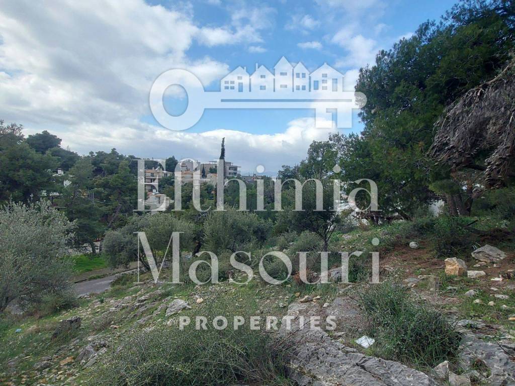 Εξωτερικοι χώροι