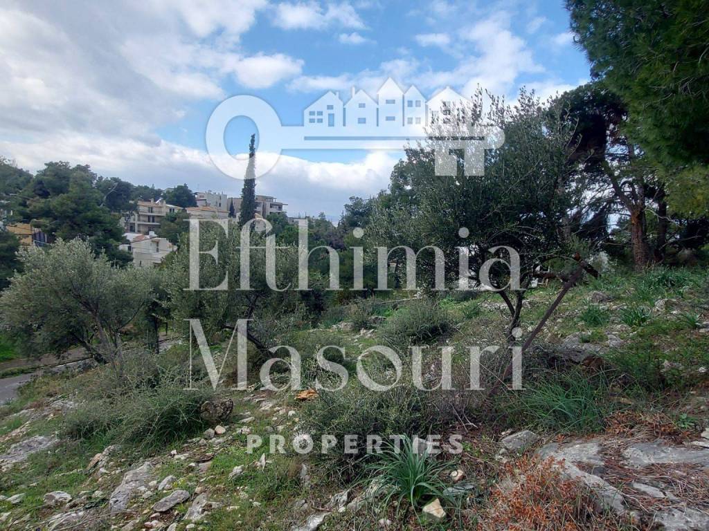 Εξωτερικοι χώροι